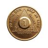 1 Month Bronze AA (Alcoholics Anonymous) - Sober / Sobriety / Birthday / Anniversary / Recovery / Medallion / Coin / Chip